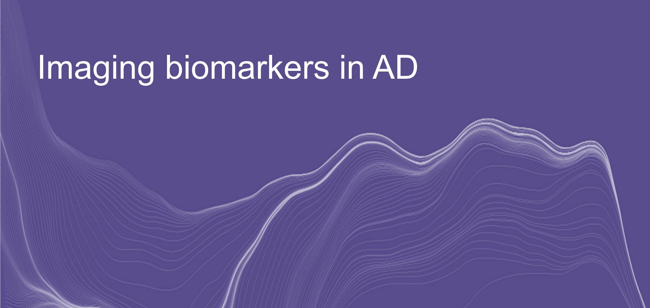 Imaging Biomarkers in AD